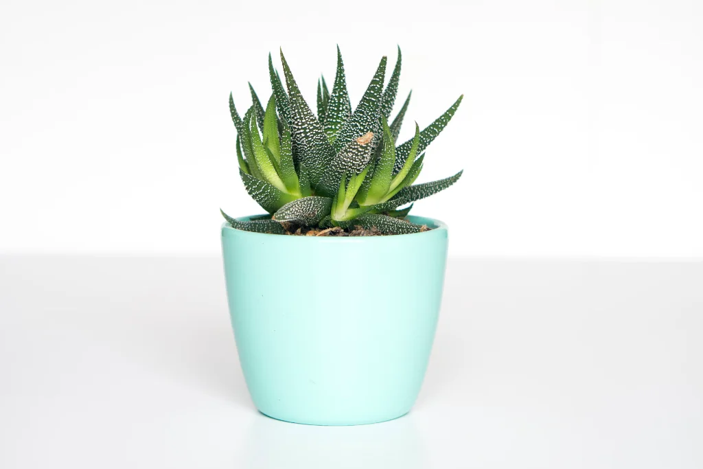 Интерфейс умного дома